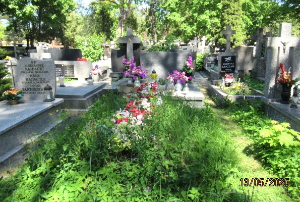 Wacław Zieliński Otwock - Grobonet - Wyszukiwarka osób pochowanych