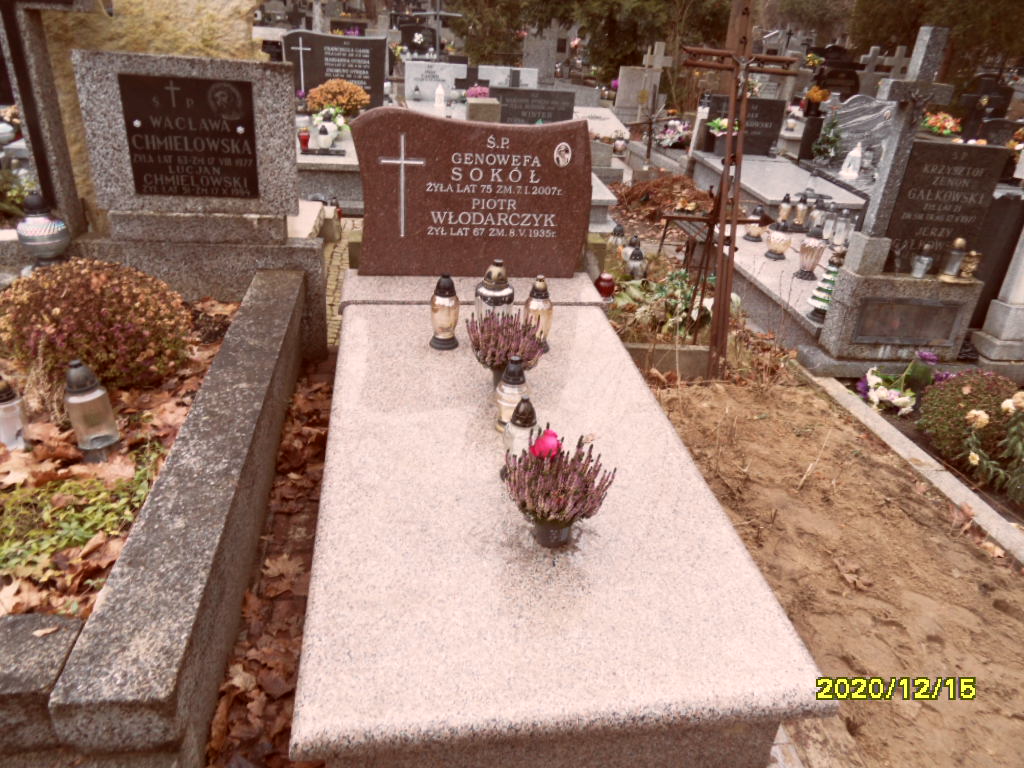 Grób Genowefa Sokół