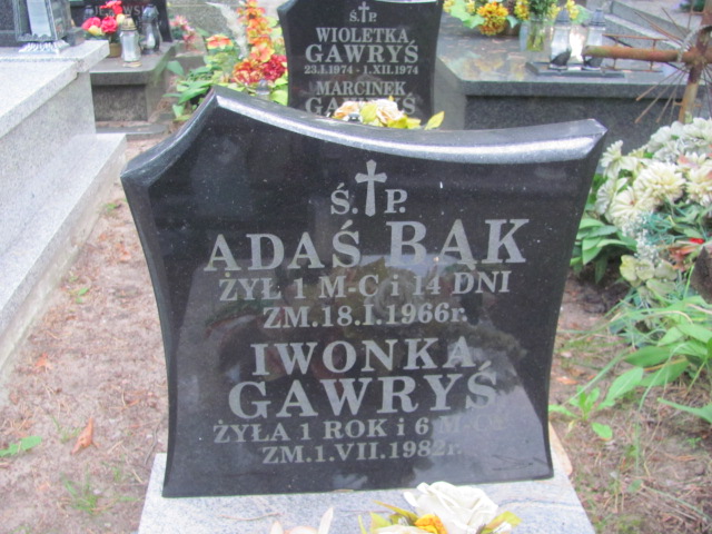 Iwona Gawryś Otwock - Grobonet - Wyszukiwarka osób pochowanych