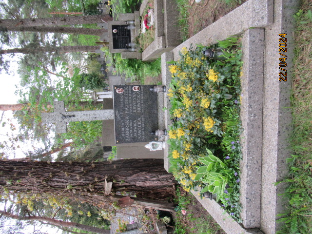 Grób Jadwiga Sawicka 