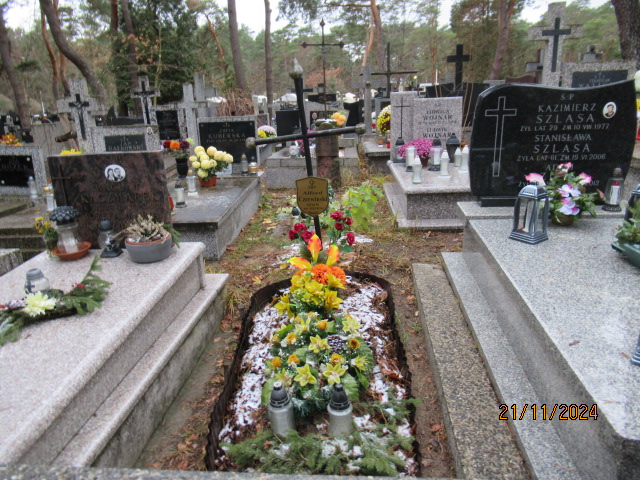 Grób Alfred Czerwiński
