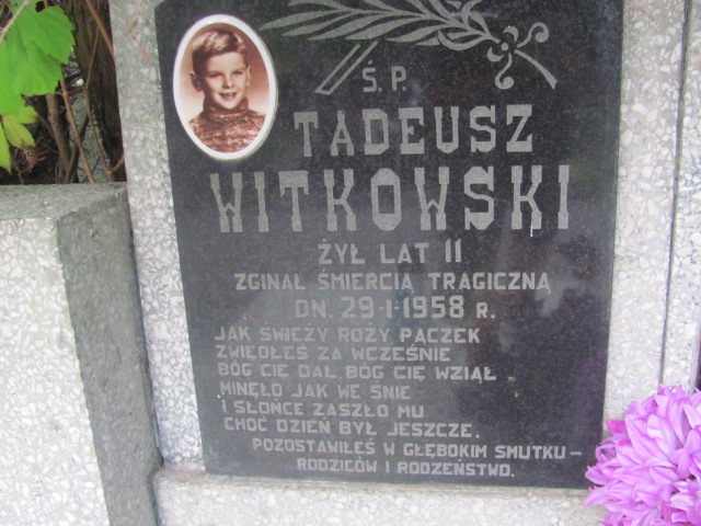 Tadeusz Witkowski Otwock - Grobonet - Wyszukiwarka osób pochowanych