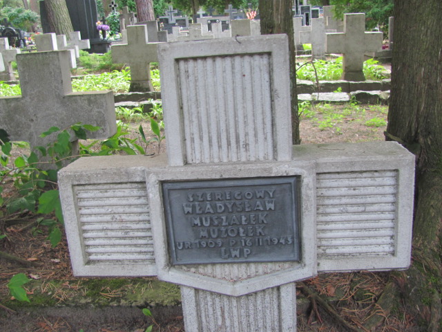 Grób Franciszek Gielewicz