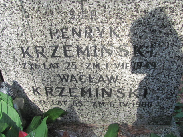 Henryk Krzemiński Otwock - Grobonet - Wyszukiwarka osób pochowanych