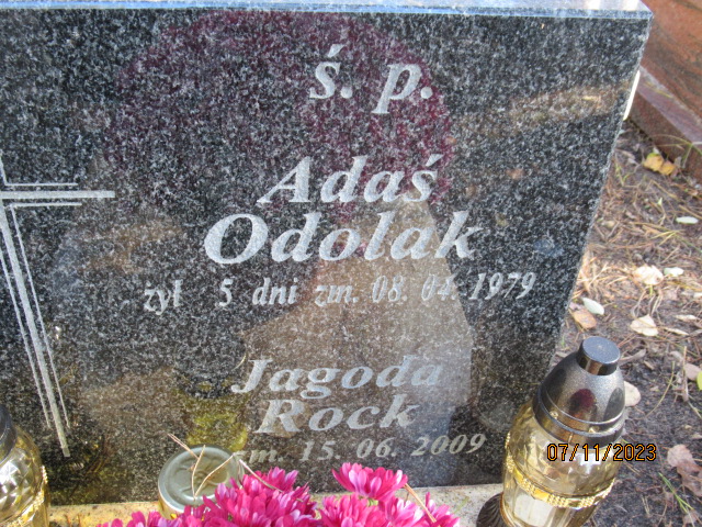 Odolak 1979 Otwock - Grobonet - Wyszukiwarka osób pochowanych