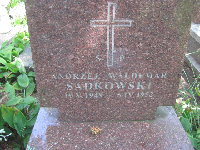 Andrzej Waldemar Sadkowski  1949 Otwock - Grobonet - Wyszukiwarka osób pochowanych