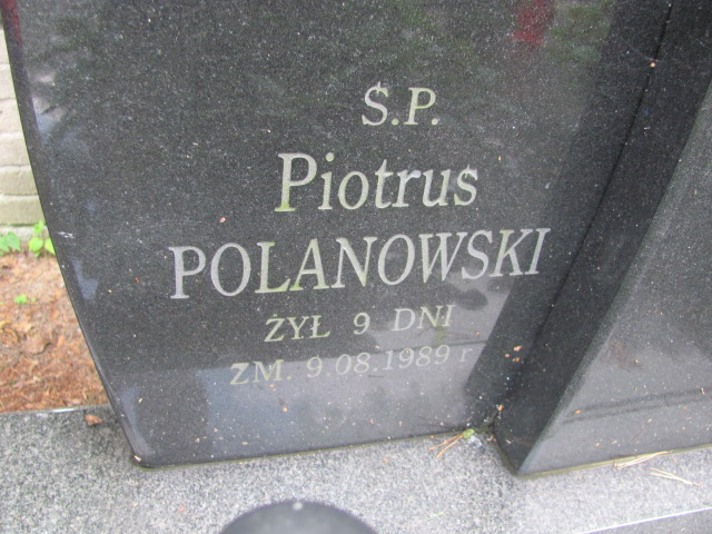 Krystyna Olszanka 1956 Otwock - Grobonet - Wyszukiwarka osób pochowanych