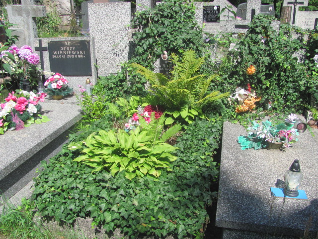 Honorata Sikora 1912 Otwock - Grobonet - Wyszukiwarka osób pochowanych