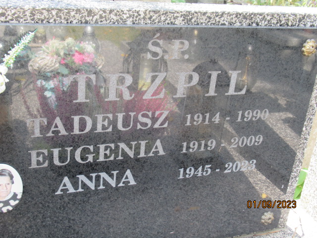 Mieczysław Ziomek Otwock - Grobonet - Wyszukiwarka osób pochowanych