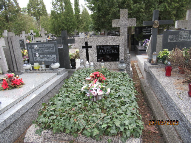 Grób Andrzej Tężycki