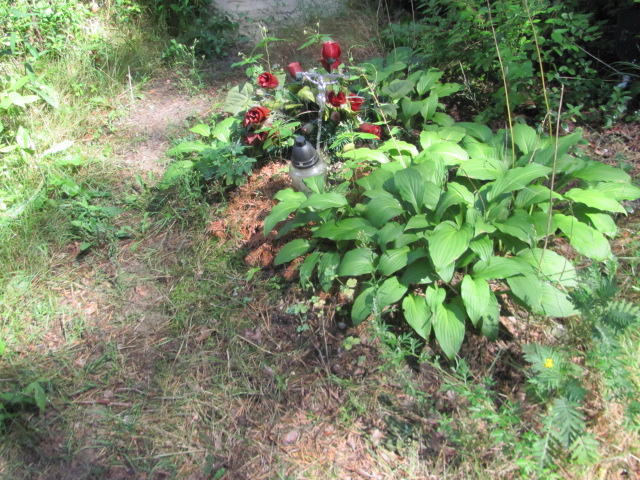  Zarząd Cmentarza Otwock - Grobonet - Wyszukiwarka osób pochowanych