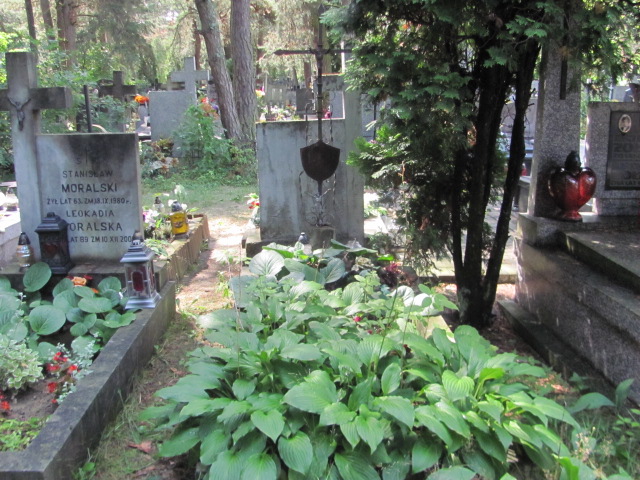  Zarząd Cmentarza Otwock - Grobonet - Wyszukiwarka osób pochowanych