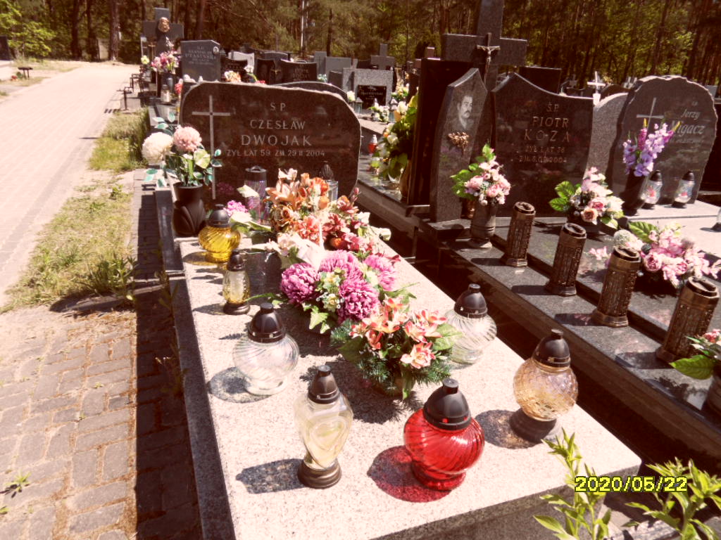 Barbara Dwojak 1949 Otwock - Grobonet - Wyszukiwarka osób pochowanych