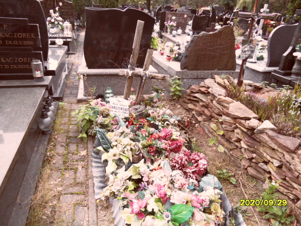 Grób Marek  Janczewski