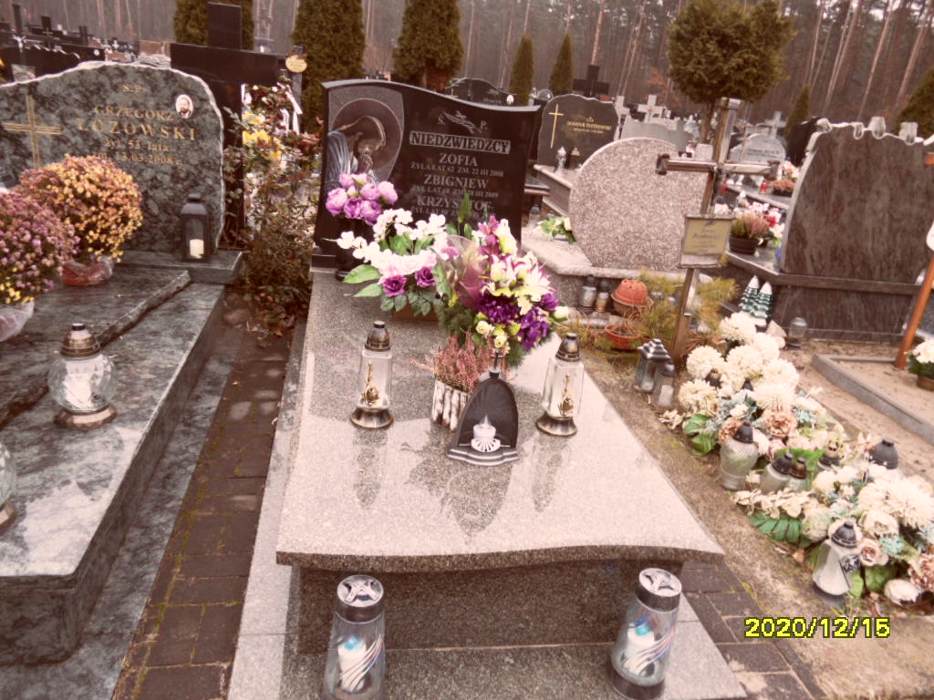 Grób Zofia   Niedzwiedzka