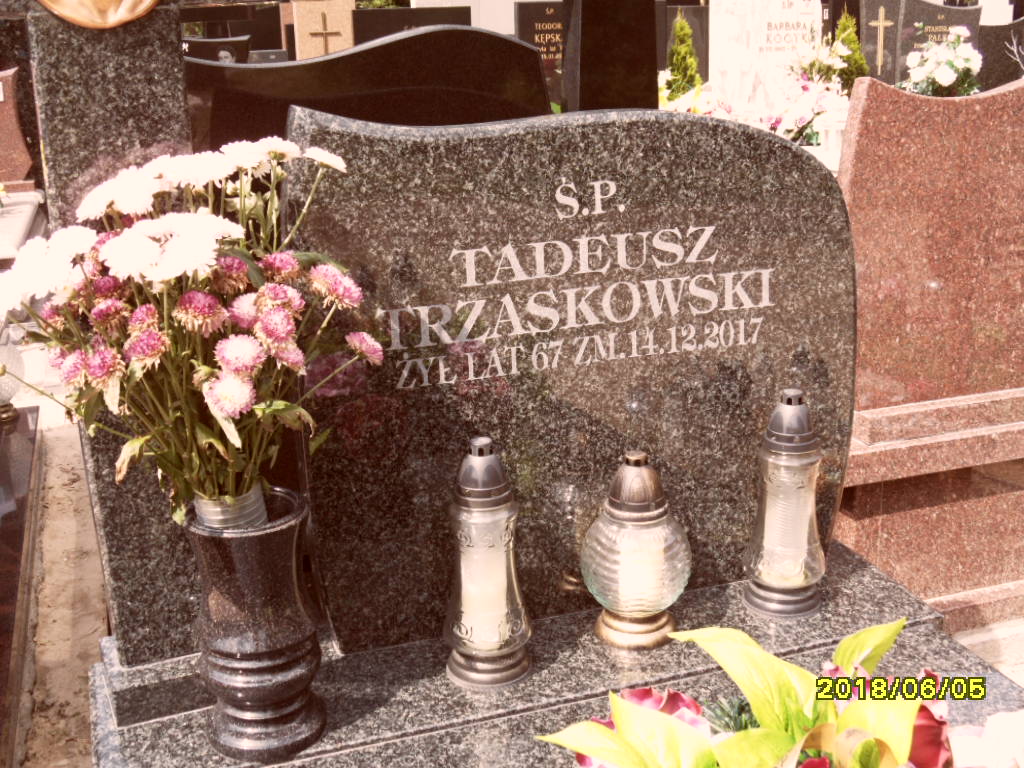 Tadeusz Trzaskowski 1950 Otwock - Grobonet - Wyszukiwarka osób pochowanych